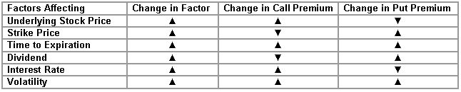 stock options2